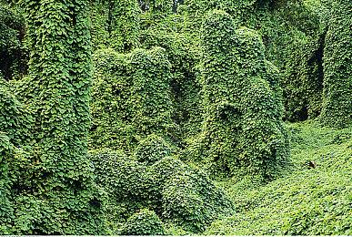 《VR战士5：终极对决》联动《铁拳7》DLC新预告 6月1日上线